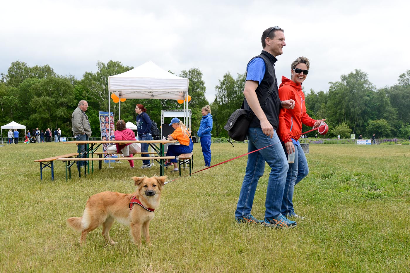 Plambeck Sommerfest, 14. Juni 2015